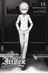 A Certain Magical Index, Vol. 15 (light novel) - Kazuma Kamachi ; Kiyotaka Haimura - 9780316442725