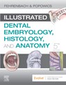Illustrated Dental Embryology, Histology, and Anatomy - Margaret J. (Oral Biologist and Dental Hygienist; Previous Adjunct Instructor Fehrenbach ; Tracy (Associate Professor Popowics - 9780323611077