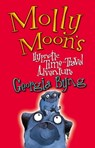 Molly Moon's Hypnotic Time-Travel Adventure - Georgia Byng - 9780330476591