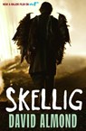 Skellig - David Almond - 9780340997048
