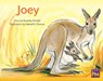 Joey: Leveled Reader Green Fiction Level 14 Grade 1-2 - Hmh Hmh - 9780358120674