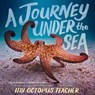 A Journey Under the Sea - Craig Foster ; Ross Frylinck - 9780358677864