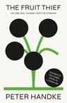 The Fruit Thief - Peter Handke - 9780374906504