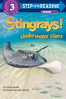 Stingrays! Underwater Fliers - Carole Gerber - 9780375981425