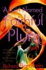 A Girl Named Faithful Plum - Richard Bernstein - 9780375984341
