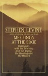 Levine, S: Meetings at the Edge - Stephen Levine - 9780385262200