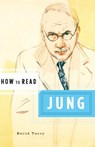 How to Read Jung - David J. Tacey - 9780393329537