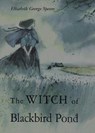 The Witch of Blackbird Pond: A Newbery Award Winner - Elizabeth George Speare - 9780395071144
