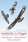 Hawks in Flight - Sibley David Sibley ; Dunne Pete Dunne ; Sutton Clay Sutton - 9780395709597