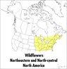 Field Guide to Wildflowers of Northeastern and North-central North America - Roger Tory Peterson ; Margaret McKenny - 9780395911723