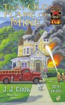 Cook, J: That Old Flame of Mine - J. J. Cook - 9780425252048