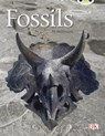 Bug Club Guided Non Fiction Year Two Gold A Fossils - Jill McDougall - 9780433004424