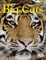 BC NF Brown B/3B Big Cats - Sarah Walker - 9780435075835