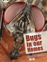 Bug Club Independent Non Fiction Year Two Lime A Bugs in our Homes - Jill Eggleton - 9780435076023