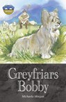 Storyworlds Bridges Stage 12 Greyfriars Bobby (single) - Michaela Morgan - 9780435144524