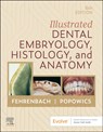 Illustrated Dental Embryology, Histology, and Anatomy - Margaret J. (Oral Biologist and Dental Hygienist; Previous Adjunct Instructor Fehrenbach ; Tracy (Associate Professor Popowics - 9780443104244