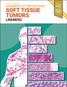 Diagnostic Pathology: Soft Tissue Tumors - LINDBERG,  Matthew R. (Director, Soft Tissue Pathology Division, Associate Professor of Pathology, University of Arkansas for Medical Sciences, Little Rock, Arkansas) - 9780443109362
