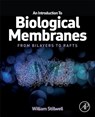 An Introduction to Biological Membranes: From Bilayers to Rafts - William Stillwell - 9780444521538