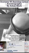 Anatomy Of Amazing Lyrics! Autobiography - Adam Stark - 9780463338131