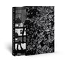 Daido Moriyama – Record 2 - Mark Holborn ; Daido Moriyama - 9780500027639