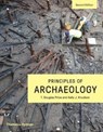 Principles of Archaeology - T. Douglas Price ; Kelly J. Knudson - 9780500293614