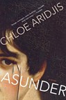 Asunder - Chloe Aridjis - 9780544003460