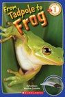 From Tadpole to Frog (Scholastic Reader, Level 1) - Kathleen Weidner Zoehfeld - 9780545273374