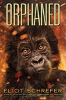 Orphaned - Eliot Schrefer - 9780545655057