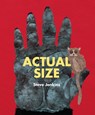 Actual Size - Steve Jenkins - 9780547512914