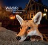 Wildlife Photographer of the Year 26 - Natural History Museum - 9780565093952
