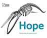 Hope - Richard Sabin ; Lorraine Cornish - 9780565094775