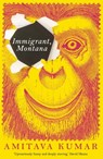 Immigrant, Montana - Amitava Kumar - 9780571339624