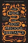 The Book of the Most Precious Substance - Sara Gran - 9780571375639