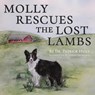 Molly Rescues the Lost Lambs - HUNT,  Patrick ; Shumaker, Sophia - 9780578314280