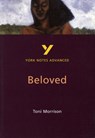 Toni Morrison 'Beloved': everything you need to catch up, study and prepare for 2025 assessments and 2026 exams - Laura Gray - 9780582414600