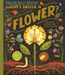 What's Inside A Flower? - Rachel Ignotofsky - 9780593176481