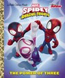 POWER OF 3 (MARVEL SPIDEY & HI - Steve Behling - 9780593379332