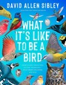 What It's Like to Be a Bird (Adapted for Young Readers) - David Allen Sibley - 9780593430187