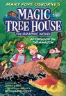 Afternoon on the Amazon Graphic Novel - Mary Pope Osborne ; Jenny Laird - 9780593488829