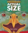 Prehistoric Actual Size - Jenkins Steve Jenkins - 9780618535781