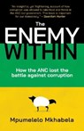 The Enemy Within - Mpumelelo Mkhabela - 9780624091226