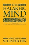 Halakhic Mind - Rabbi Joseph B. Soloveitchik - 9780684863726