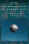 The Enchantment of Modern Life - Jane Bennett - 9780691088136