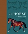 The Horse - Debbie Busby ; Catrin Rutland - 9780691178776