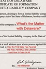 What’s the Matter with Delaware? - Hal Weitzman - 9780691180007