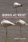 Birds at Rest - Roger Pasquier - 9780691259963