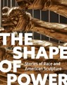 The Shape of Power - Karen Lemmey ; Tobias Wofford ; Grace Yasumura - 9780691261492