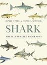 Shark - Daniel Abel ; Sophie A. Maycock - 9780691261676