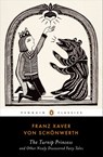 The Turnip Princess and Other Newly Discovered Fairy Tales - Franz Xaver von Schonwerth - 9780698144552