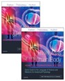 Anatomy and Physiology - Kevin T. Patton ; Gary A. Thibodeau ; Andrew Hutton - 9780702078606
